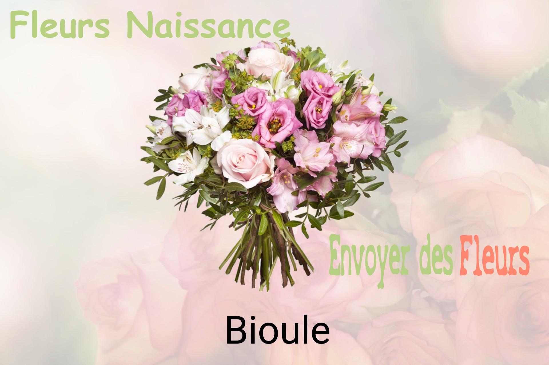 Bouquet de fleurs de naissance livré à Bioule